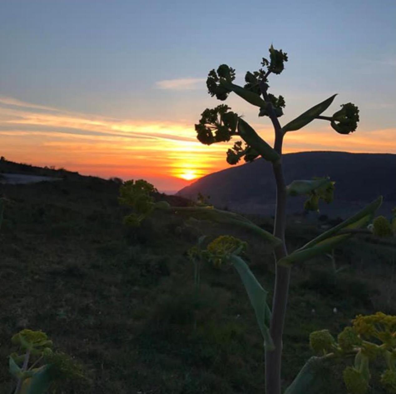 In Sicilia Da Ciro Bed & Breakfast Vita Exterior photo